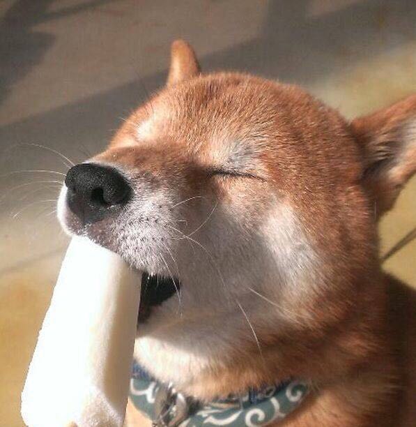 各类网红素颜真实照,亮瞎你们的眼