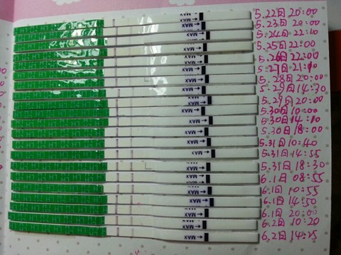 journal_insert_pic_251693301