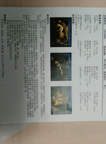 journal_insert_pic_251761296