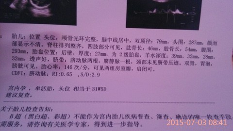 journal_insert_pic_251660024