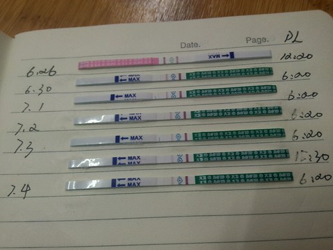 journal_insert_pic_252034480