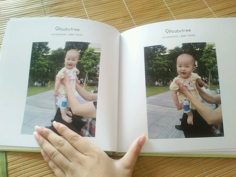 journal_insert_pic_252108914