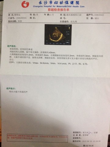 journal_insert_pic_252650819