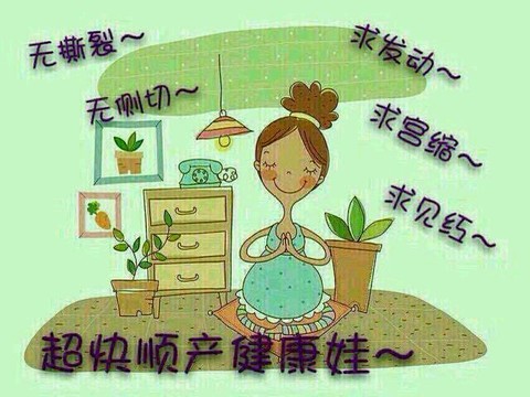 journal_insert_pic_253006176