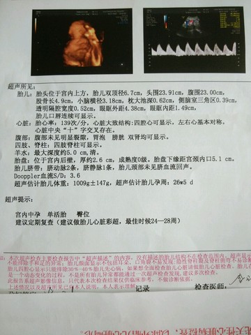 journal_insert_pic_253246085