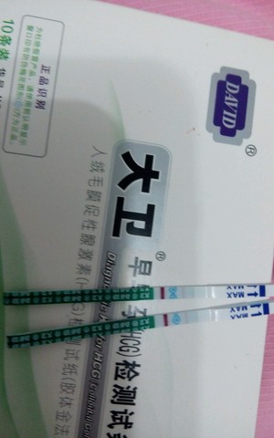 journal_insert_pic_253665218