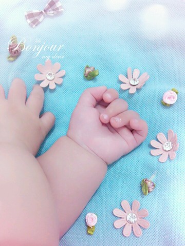 journal_insert_pic_253903831