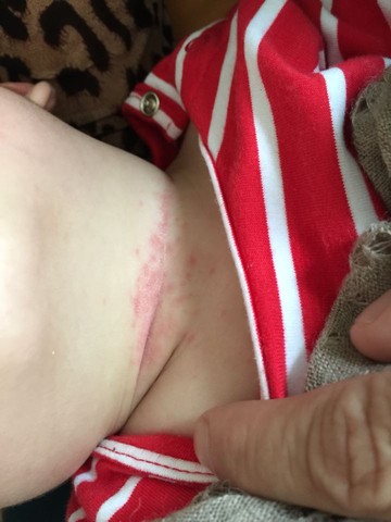 journal_insert_pic_254198232