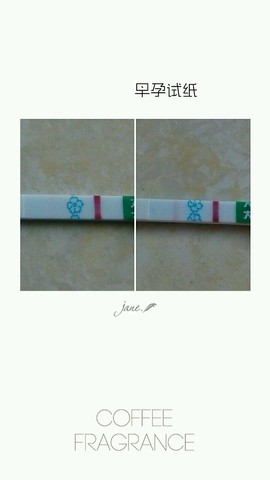 journal_insert_pic_254831374