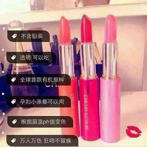 journal_insert_pic_255078409