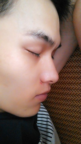 journal_insert_pic_255414666