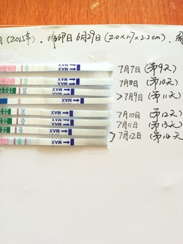 journal_insert_pic_255283640