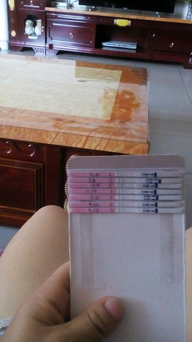journal_insert_pic_255838655