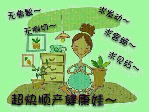 journal_insert_pic_255975993
