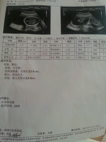 journal_insert_pic_255732011