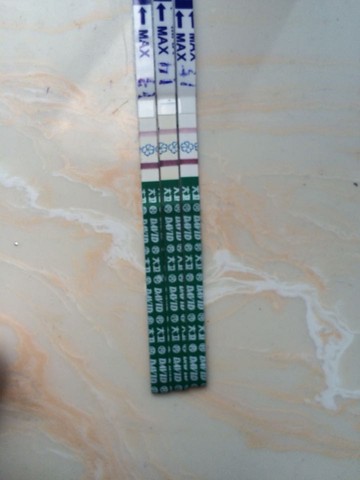 journal_insert_pic_256540654