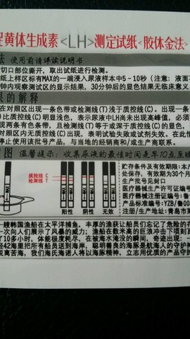 journal_insert_pic_257030434