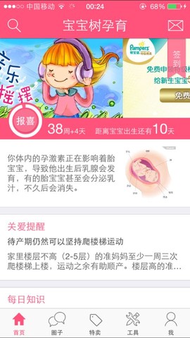 journal_insert_pic_257314570