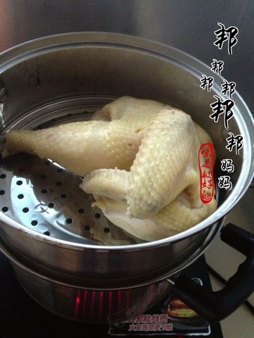 journal_insert_pic_258153034