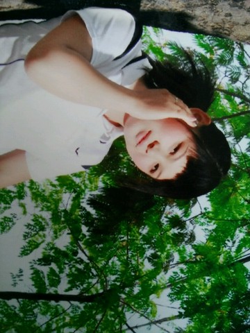 journal_insert_pic_257756508