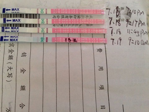 journal_insert_pic_258241182