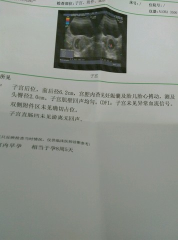 journal_insert_pic_260521948