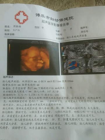 journal_insert_pic_260465221