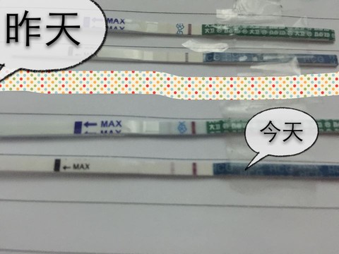 journal_insert_pic_261718800