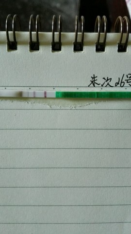 journal_insert_pic_262230973