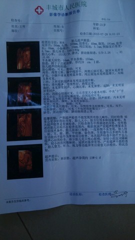 journal_insert_pic_262409405