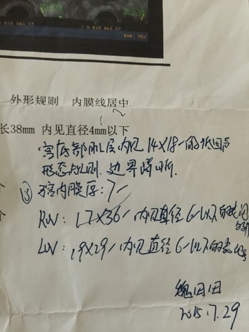 journal_insert_pic_262828964