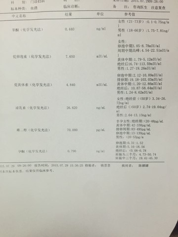 journal_insert_pic_262828871