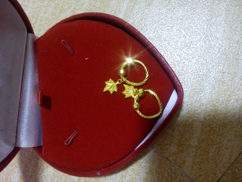 journal_insert_pic_262957150