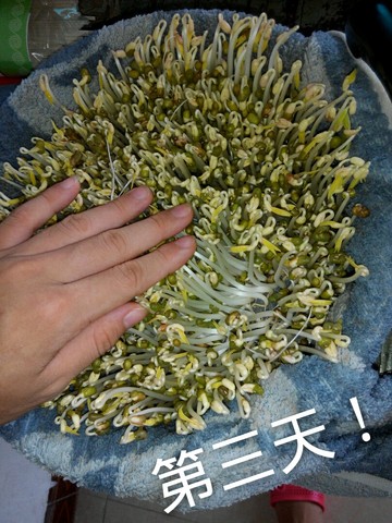 journal_insert_pic_263044661