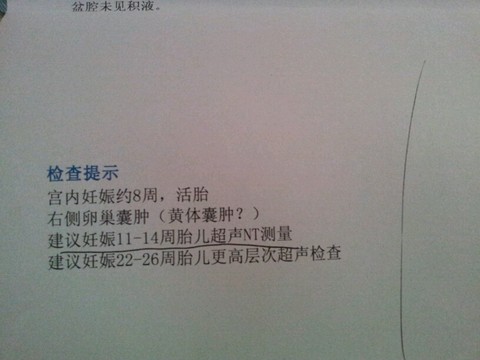 journal_insert_pic_263528680