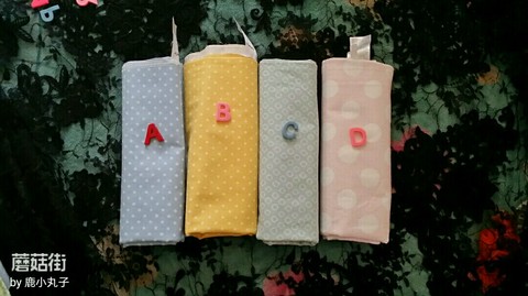journal_insert_pic_263556054