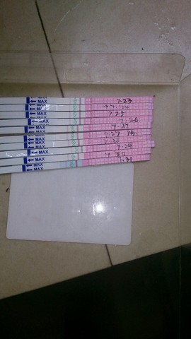 journal_insert_pic_263531724