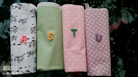 journal_insert_pic_263555912
