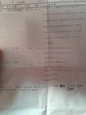 journal_insert_pic_264031778