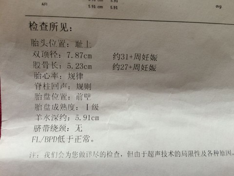 journal_insert_pic_264064944