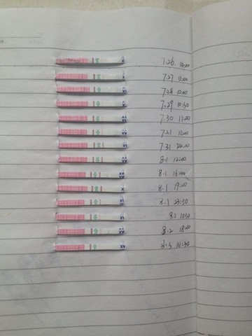 journal_insert_pic_264872998