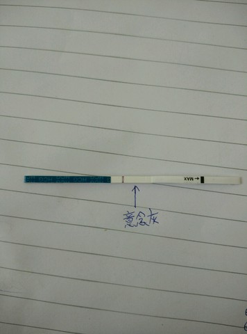 journal_insert_pic_265660716