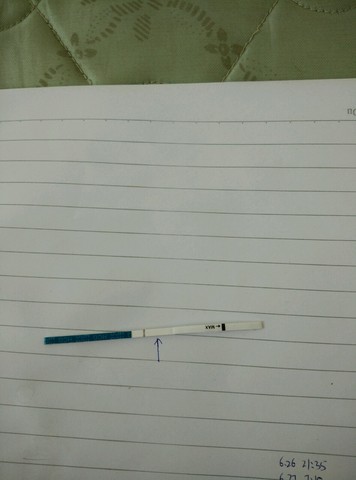 journal_insert_pic_265661180