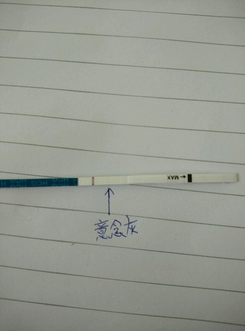journal_insert_pic_265660873
