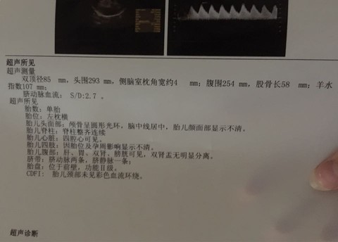 journal_insert_pic_266584116