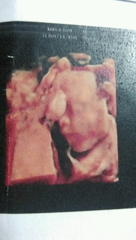 journal_insert_pic_266559517
