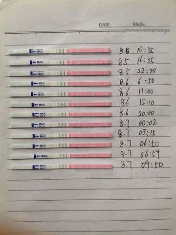 journal_insert_pic_266440736