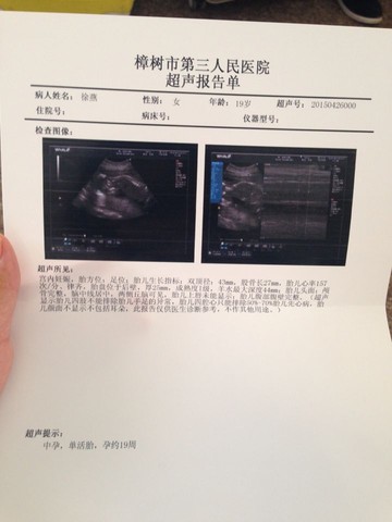 journal_insert_pic_267068835