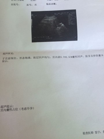journal_insert_pic_269109317
