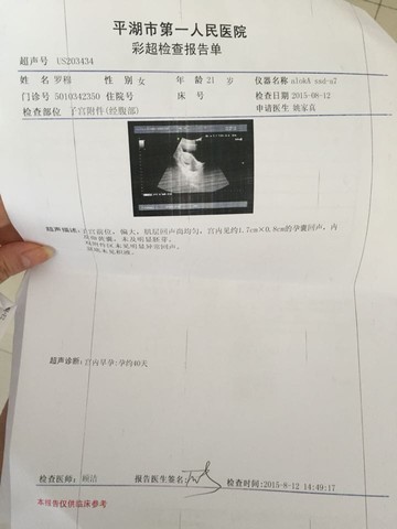 journal_insert_pic_270339898